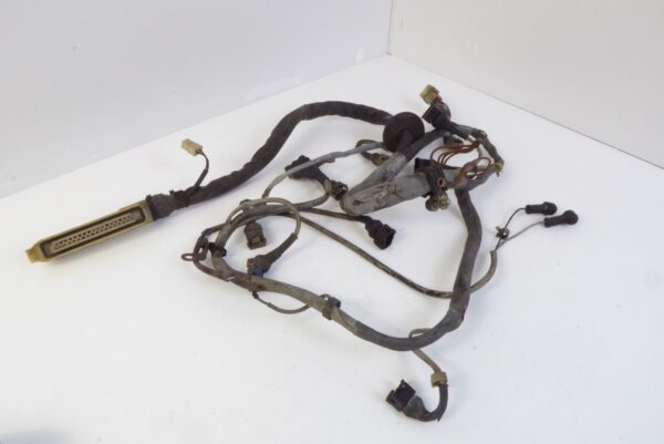 Porsche 924 Motor Kabelbaum