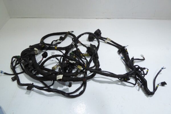 Porsche  996 911  Motor Kabelbaum  Kabelbaum  99660701492 von 2004